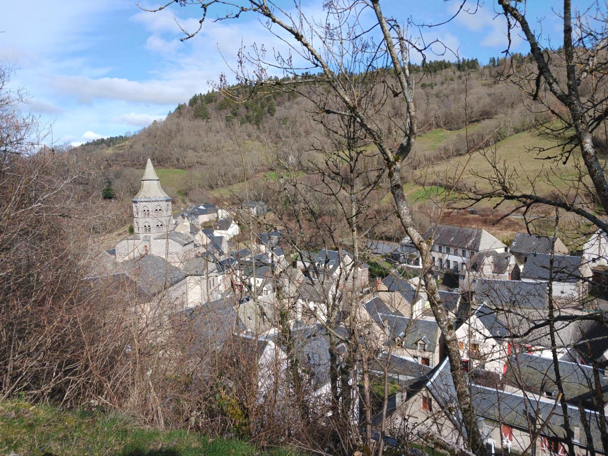 Gite Les Bois Orcival Exterior foto